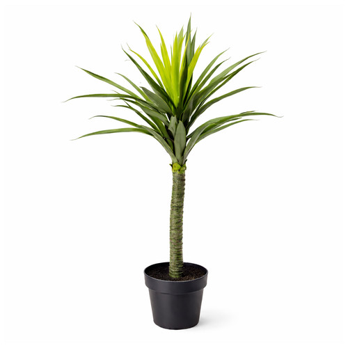 Pianta yucca artificiale - pianta,