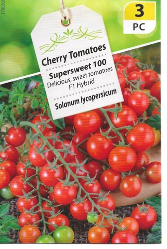 Semi pomodori varietà - semi, di