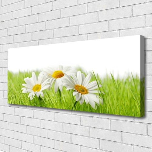 Stampa tela canvas - canvas, 125x50