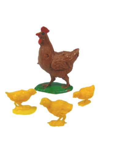 Gallina con pulcini per - con,