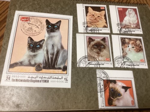 Foglio ricordo gatti yemen - foglio,