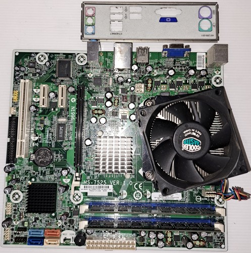 Scheda madre 517069 001 - madre, hp