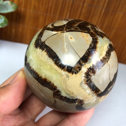 63mm energia naturale - 63mm, settaria