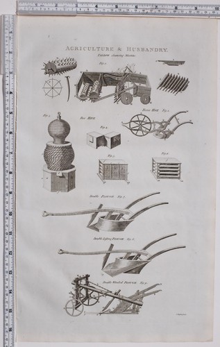 1788 antico stampa agricoltura - stampa,
