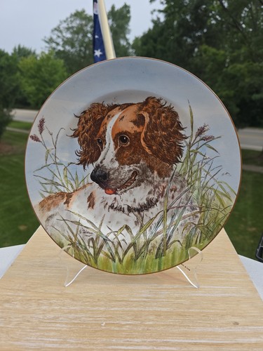 Antico spaniel inglese - antico,
