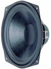 Woofer da 25 cm (10 ") 8 Ohm 110 W