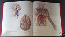 HUMAN ANATOMY Hardcover 2ND
