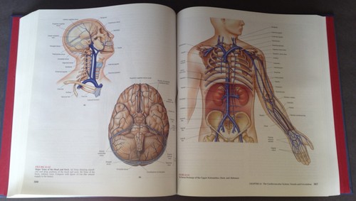 Human anatomy hardcover - hardcover, 2nd