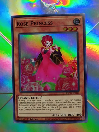 Rose princess kico en017 - princess, kico-en017