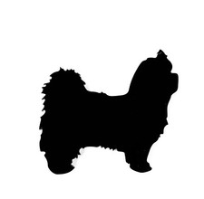 Maltese Cane Spilla Distintivo