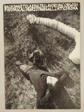 Bachi da setola ed altri