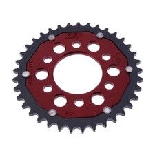 Pignone 37Z rosso