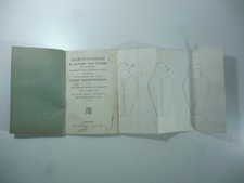 Illustrazione di quattro vasi
