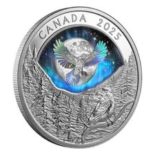 20 Dollaro Moon Sky Raven -