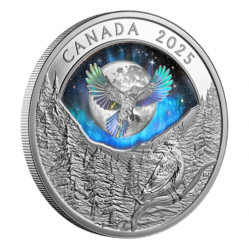 Dollaro moon sky raven - moon,