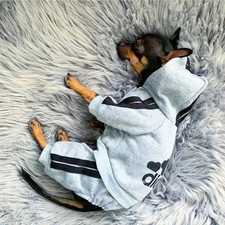 Adidog tuta per cani tuta per