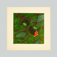 Piero GILARDI - "Cocomeri", 1977 - Serigrafia con floccaggio, 50 x 50 cm