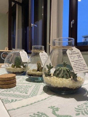 Terrario ornamentale con