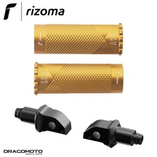 pioli SNAKE Honda CBR 650 R