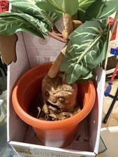 HARRY POTTER Peluche