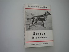 IL NOSTRO AMICO SETTER