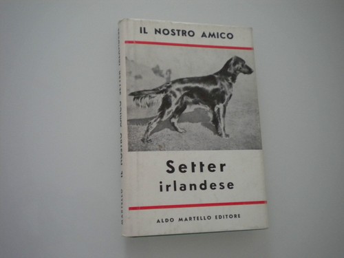 Nostro amico setter - nostro,