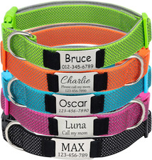 Collare Cane Personalizzato