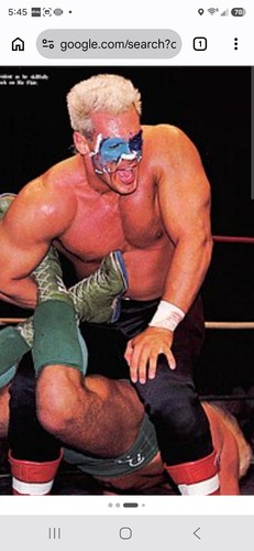 Pro wrestling legends sting - pro,
