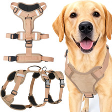 Pettorina Antifuga Cane Taglia