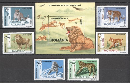 Rm535 2000 romania gatti - rm535,