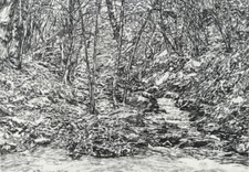 GIANCARLO AIOSA: Incisione