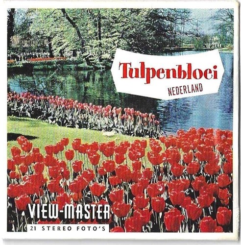 View master tulpenbloei 385 - view, c