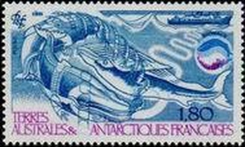 Terre australi 113 - terre,