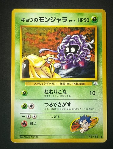 Koga tangela 114 lp c - koga's,
