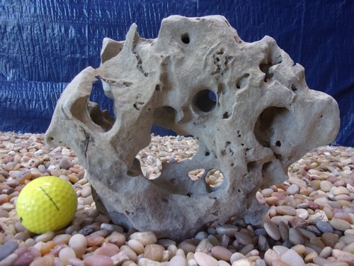 Texas holey rock - holey,
