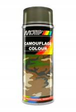 VERNICE MILITARE SPRAY RAL