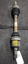 55700614 Semialbero ant