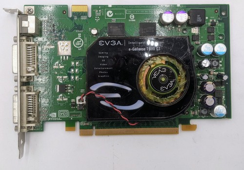Scheda grafica evga - scheda,