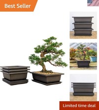 Set 3 vasi per bonsai