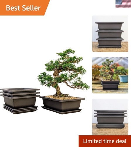 Set inch brown - of, 3