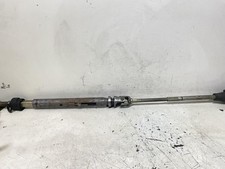 CANNA DELLO STERZO (PIANTONE)