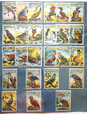 Uccelli : serie completa di 25 figurine, edizione spagnola