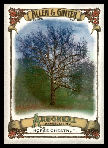 2021 topps allen - topps, &