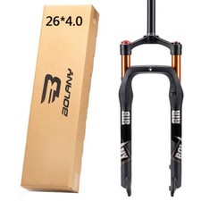 Forcella grassa bici neve