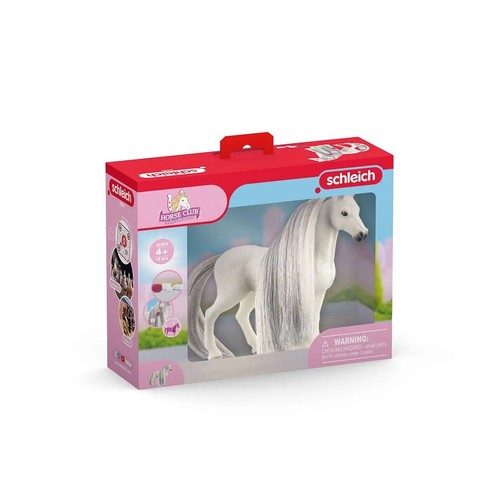Giumenta quarter horse - giumenta,