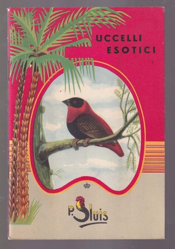 Uccelli esotici luis - uccelli, weesp