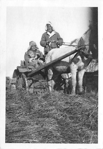 Soldati tedeschi cavallo - soldati,