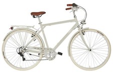 BICICLETTA ALPINA BIKE