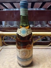 Antica Bottiglia Vino Rosso