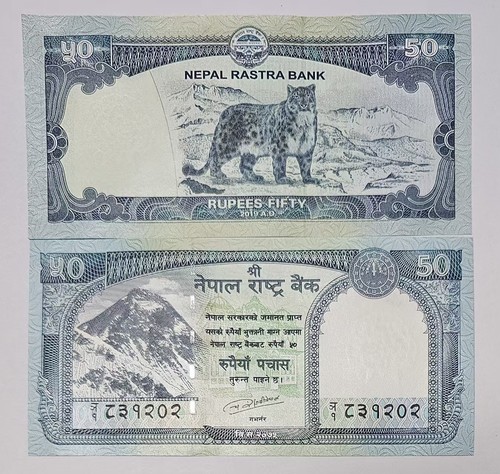 Nepal rupees 2019 - rupees, p